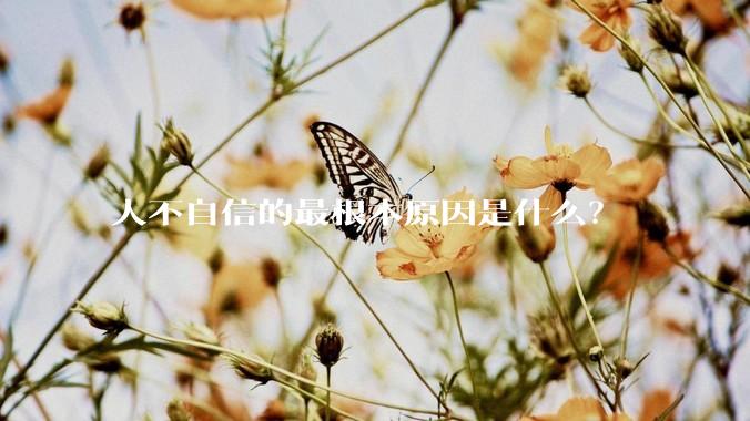 人不自信的最根本原因是什么？