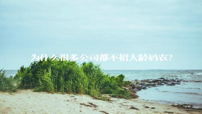 为什么很多公司都不招大龄码农？
