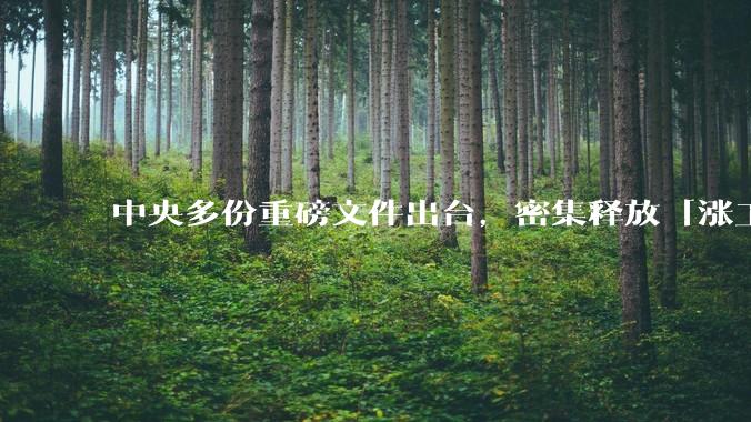 中央多份重磅文件出台，密集释放「涨工资」「提高居民收入」的信号，这背后有何深意？